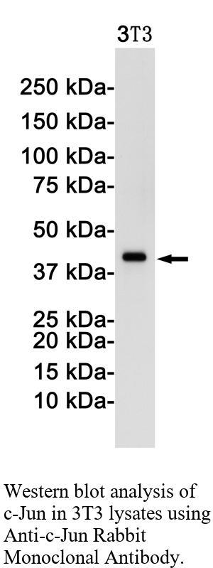 生物相关数据