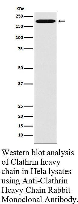 生物相关数据