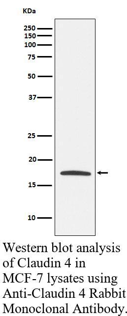 生物相关数据