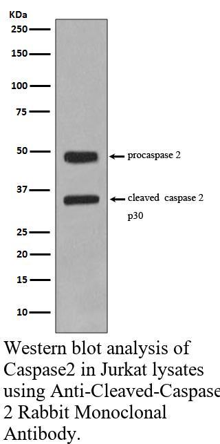 生物相关数据