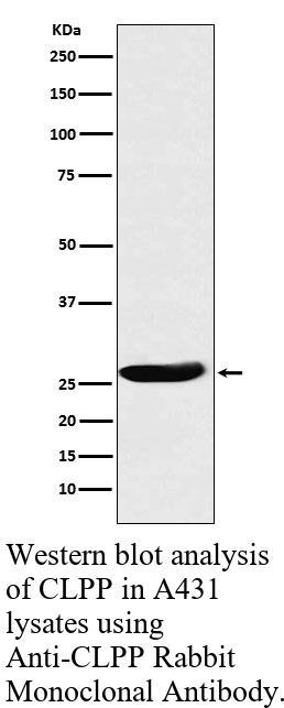 生物相关数据