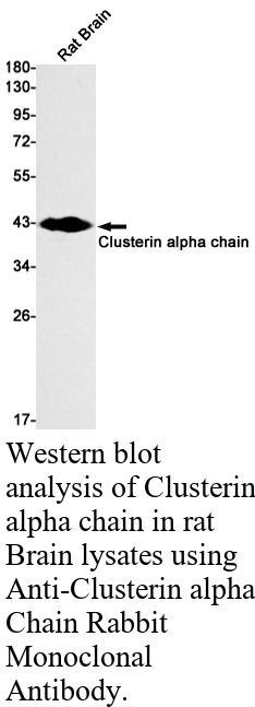 生物相关数据