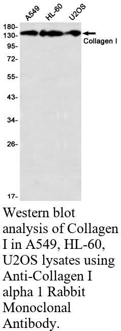 生物相关数据