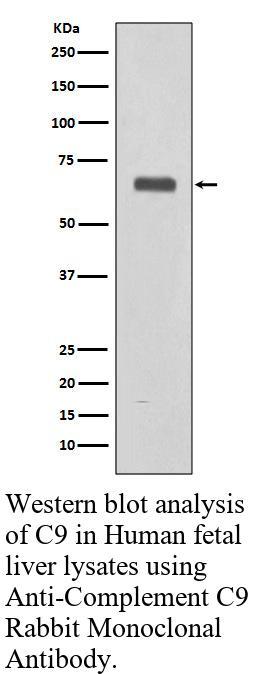 生物相关数据