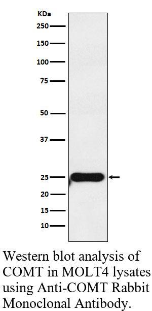 生物相关数据