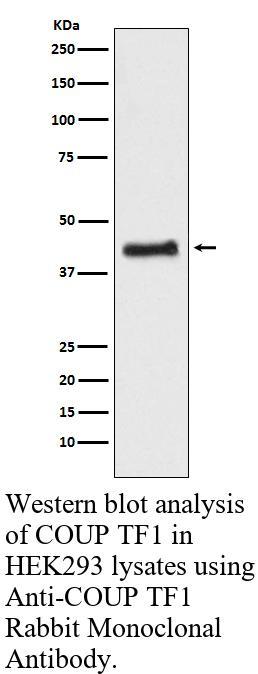 生物相关数据