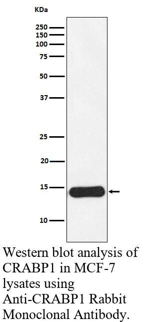 生物相关数据
