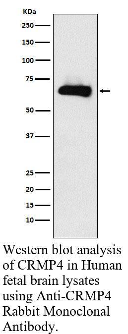 生物相关数据