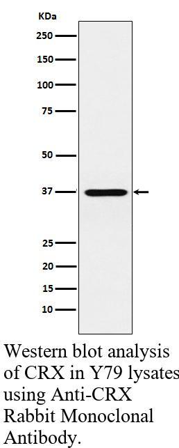 生物相关数据