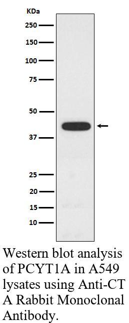 生物相关数据