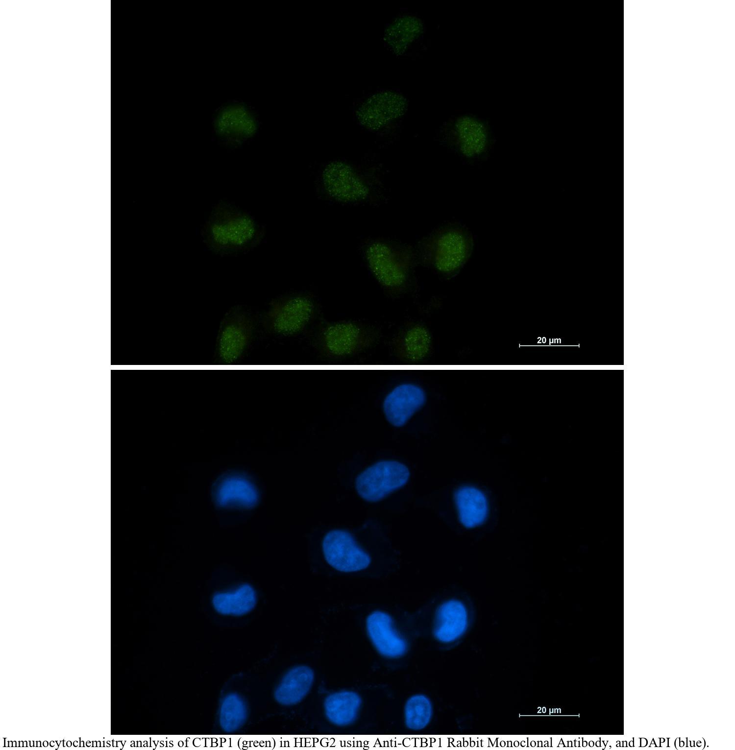 生物相关数据