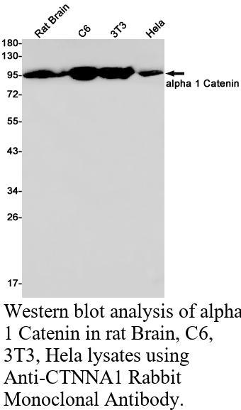 生物相关数据