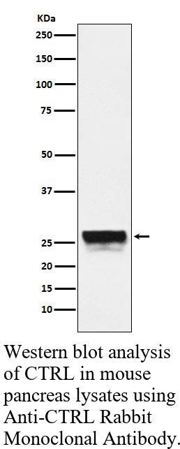 生物相关数据