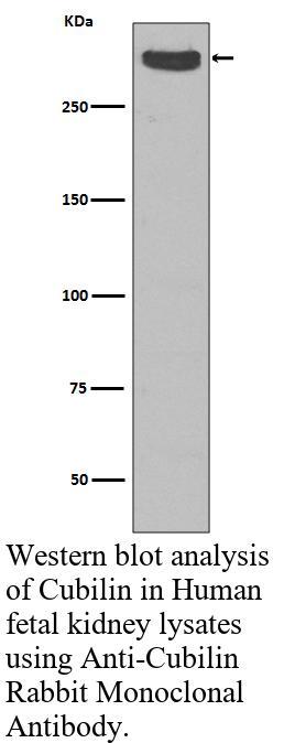 生物相关数据