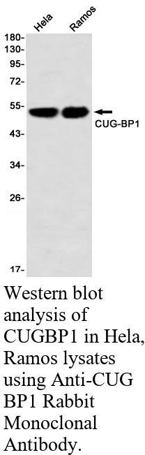生物相关数据