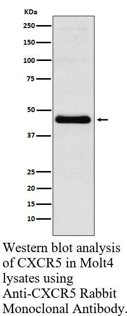 生物相关数据