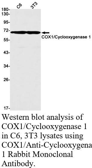 生物相关数据