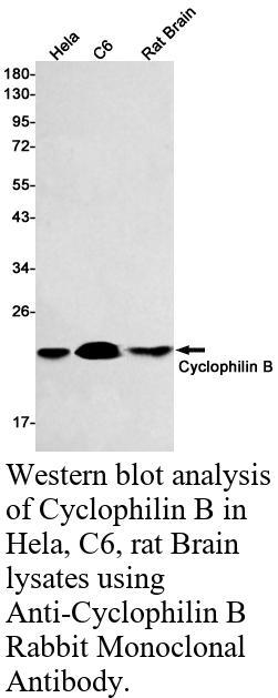 生物相关数据