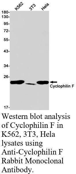 生物相关数据