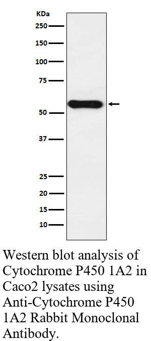 生物相关数据