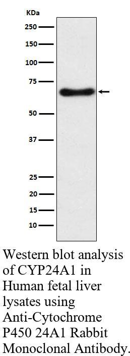 生物相关数据
