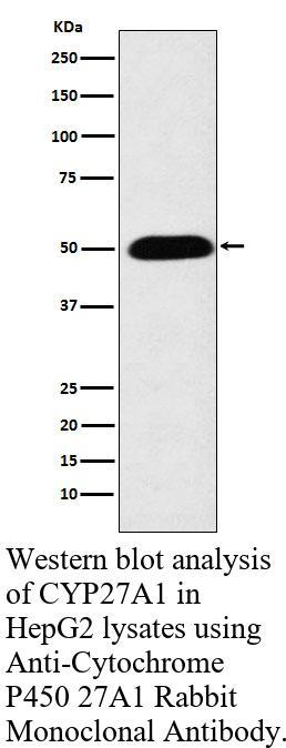生物相关数据