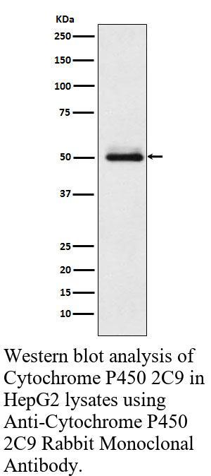 生物相关数据