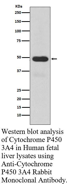 生物相关数据