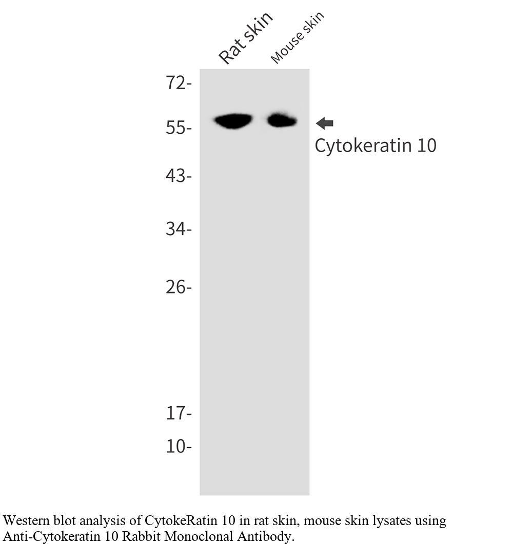 生物相关数据