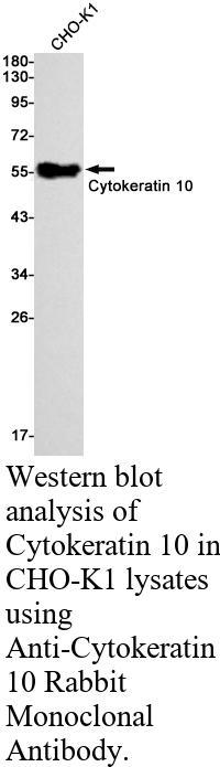 生物相关数据