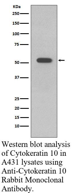 生物相关数据