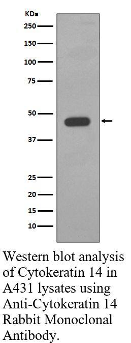 生物相关数据