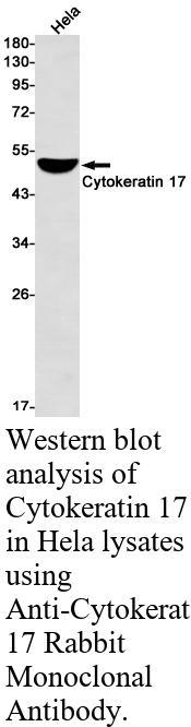 生物相关数据