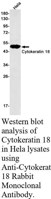 生物相关数据