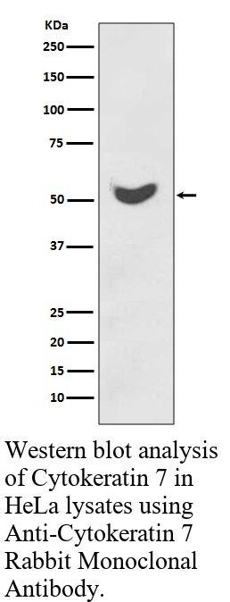 生物相关数据