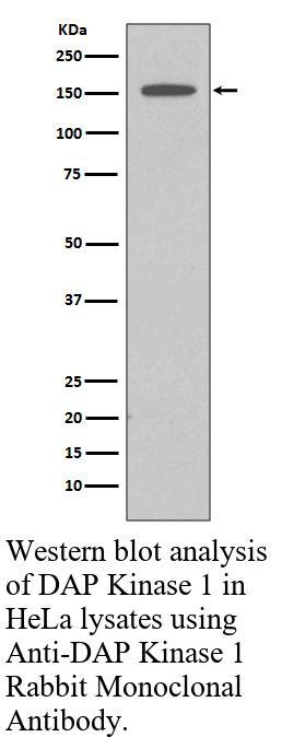 生物相关数据