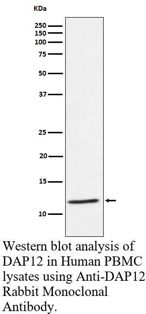 生物相关数据