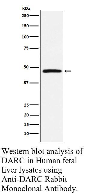 生物相关数据