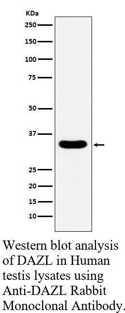 生物相关数据