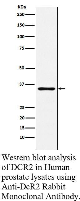 生物相关数据