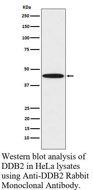 生物相关数据