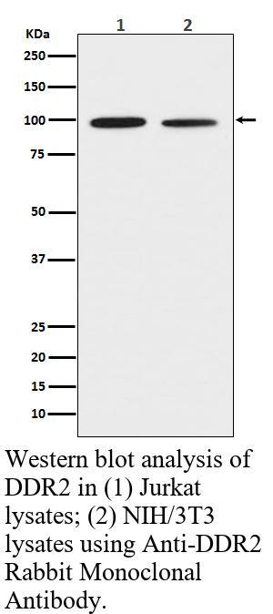 生物相关数据
