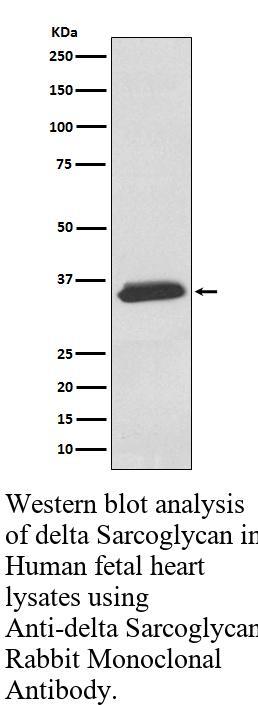 生物相关数据