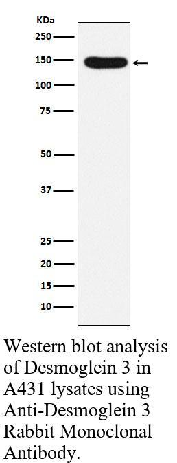 生物相关数据