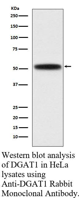 生物相关数据