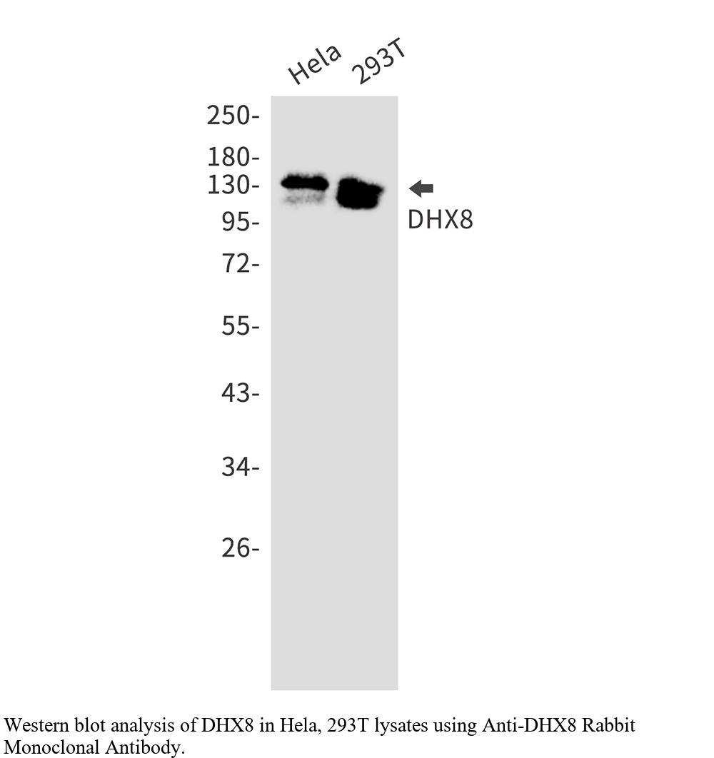 生物相关数据