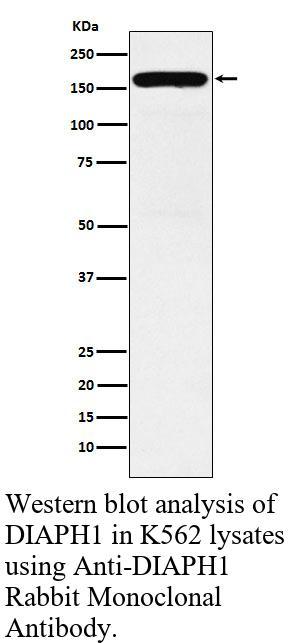 生物相关数据