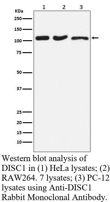 生物相关数据