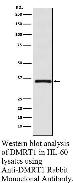 生物相关数据