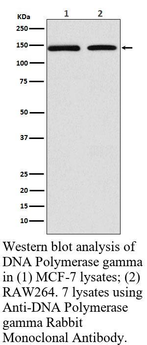 生物相关数据